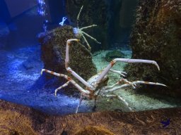 Haus des Meeres 13.03.2026